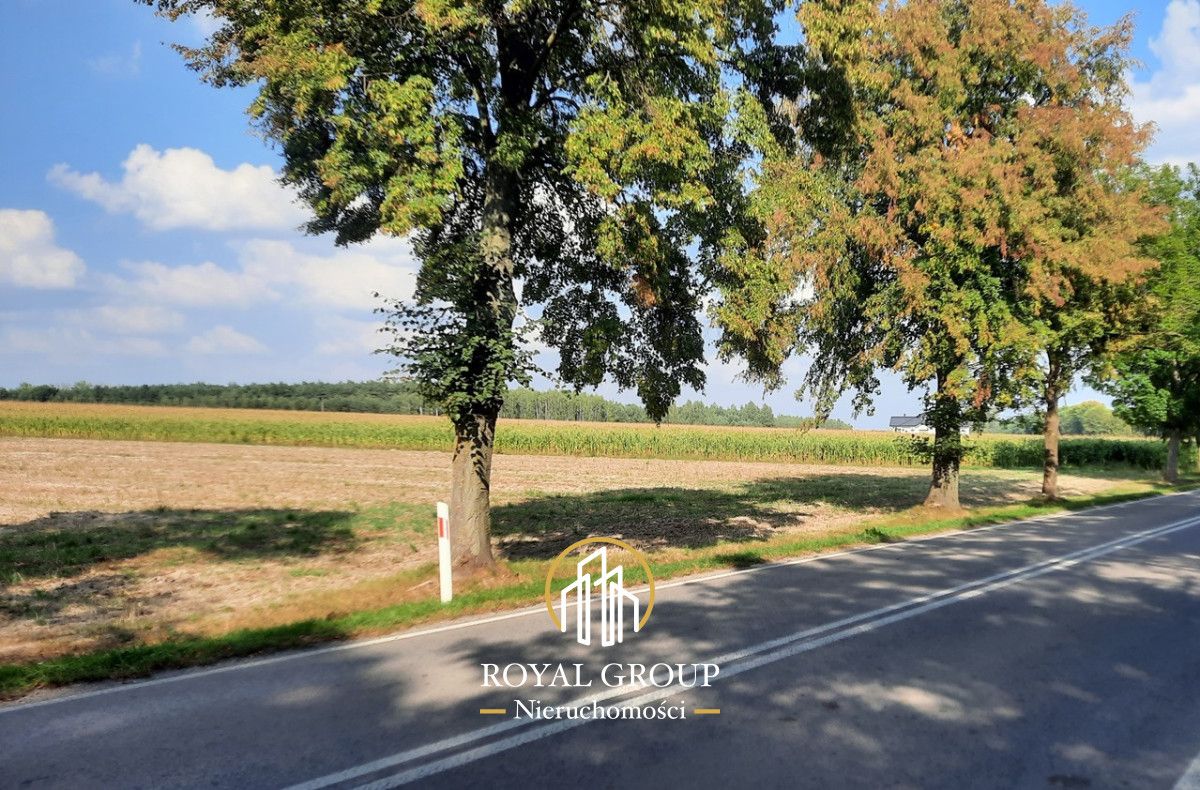 Działka rolna Rudno. Zdjęcie 8