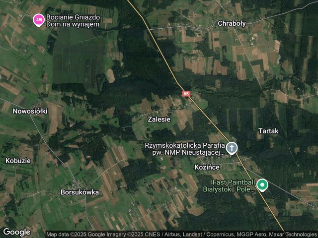 Działka budowlana Zalesie. Zdjęcie 1