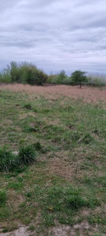 Działka budowlana Kręczki. Zdjęcie 3