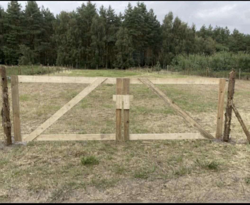 Działka budowlana Nowe Czarnowo. Zdjęcie 1