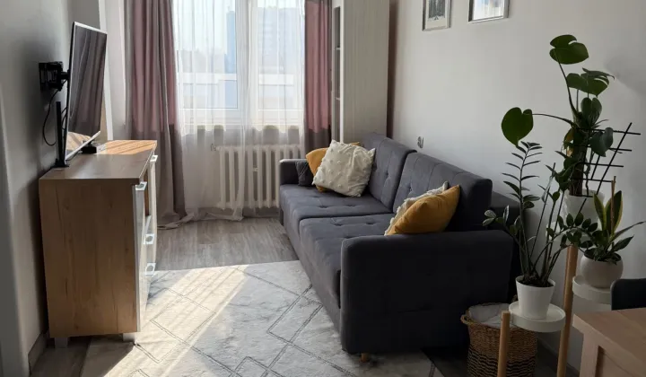 Mieszkanie 2-pokojowe Lubin Centrum, ul. Bankowa