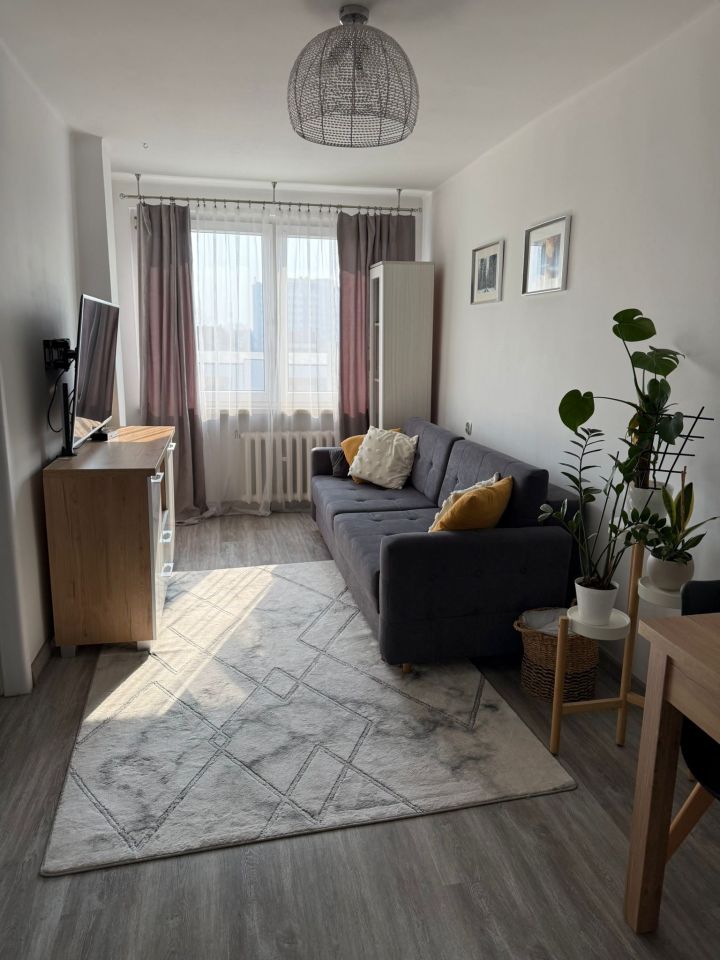 Mieszkanie 2-pokojowe Lubin Centrum, ul. Bankowa. Zdjęcie 1