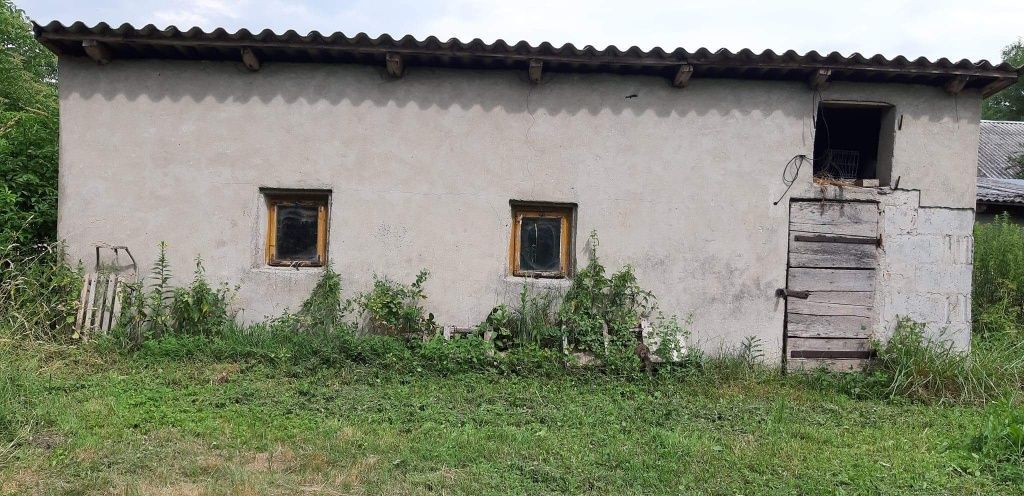 Działka siedliskowa Radzików-Oczki. Zdjęcie 3