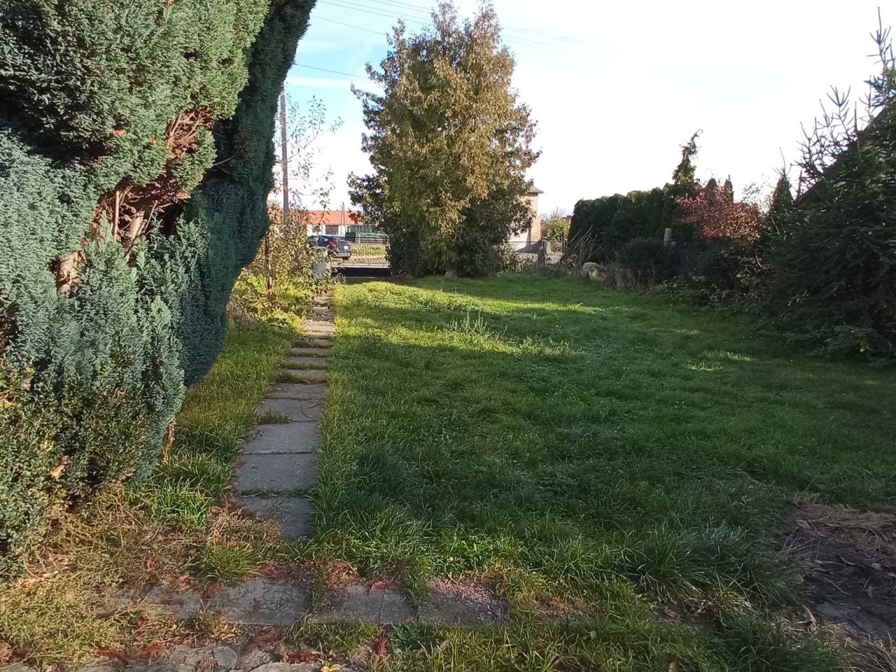 bliźniak, 3 pokoje Lewice. Zdjęcie 8