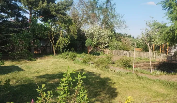 Działka rod Wrocław Śródmieście