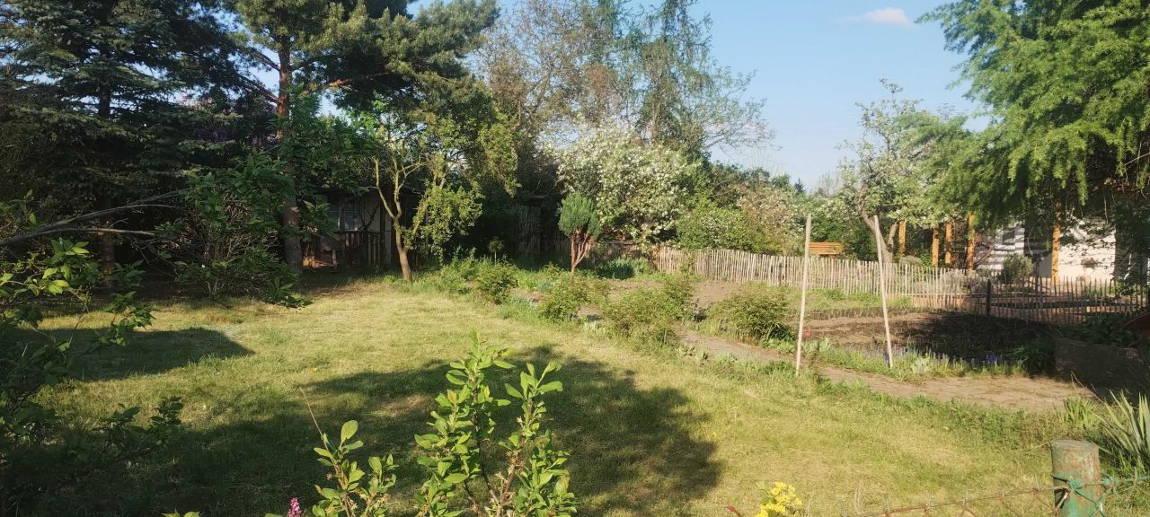 Działka rod Wrocław Śródmieście