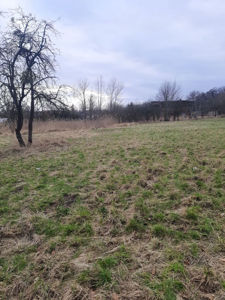 Działka rolno-budowlana Choszczno, ul. Wojska Polskiego. Zdjęcie 5