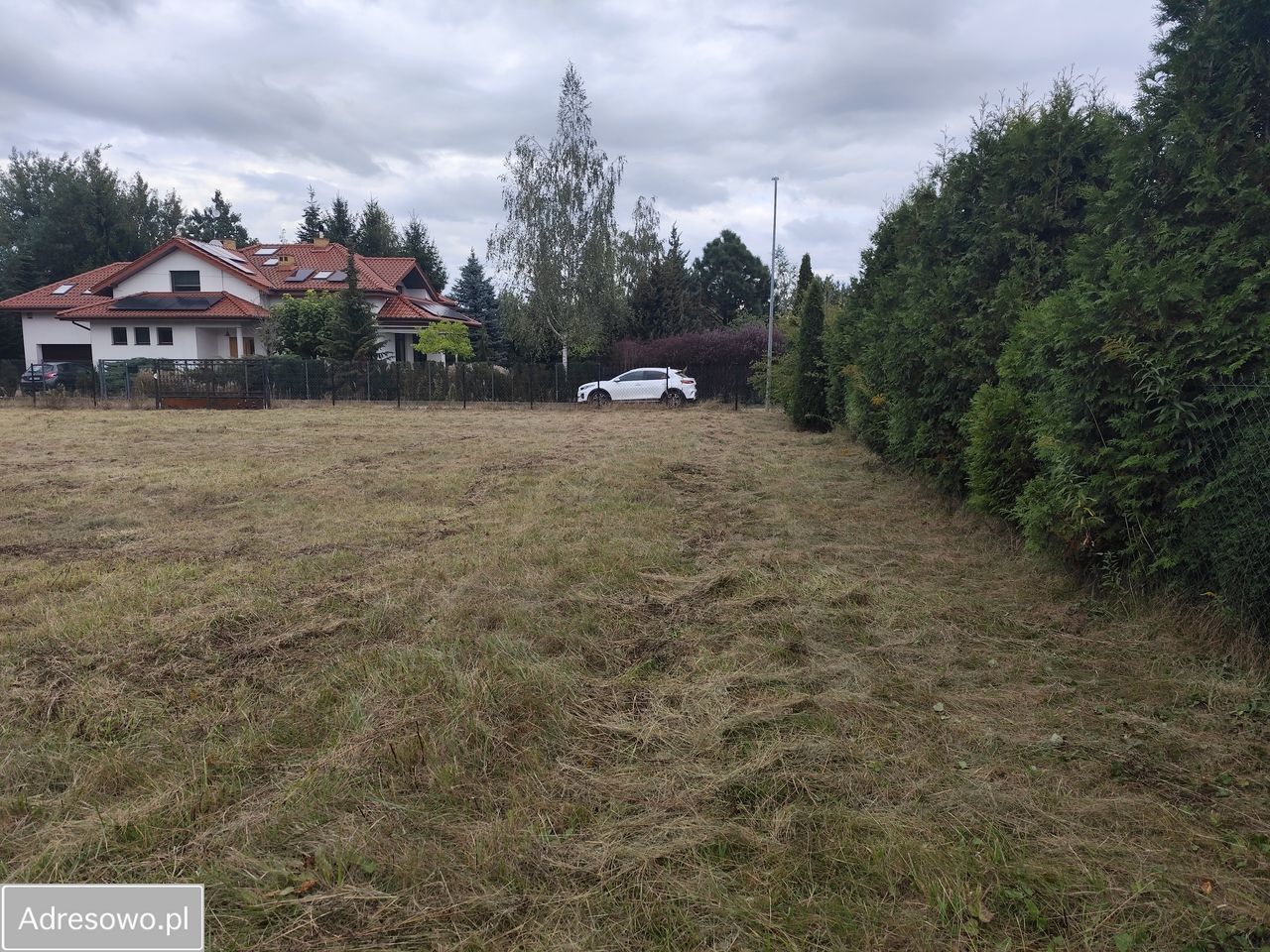 Działka budowlana Kajetany, ul. Rosy. Zdjęcie 3