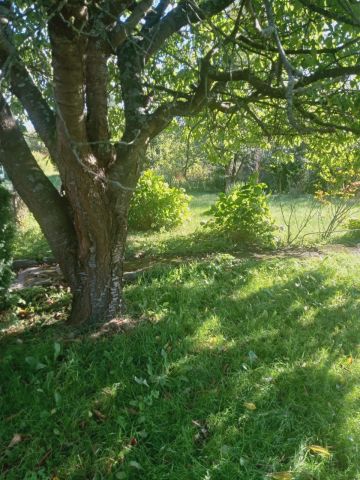 Działka rod Koszalin. Zdjęcie 1