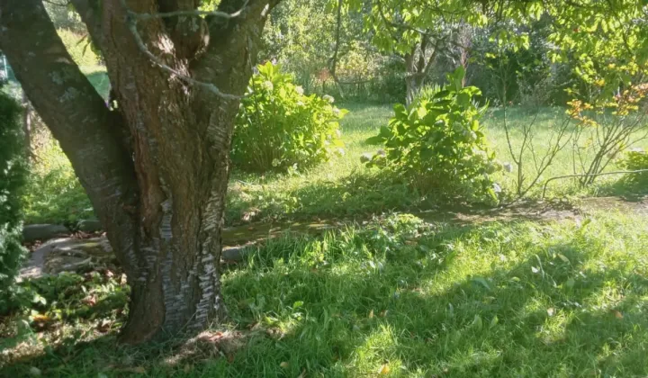 Działka rod Koszalin