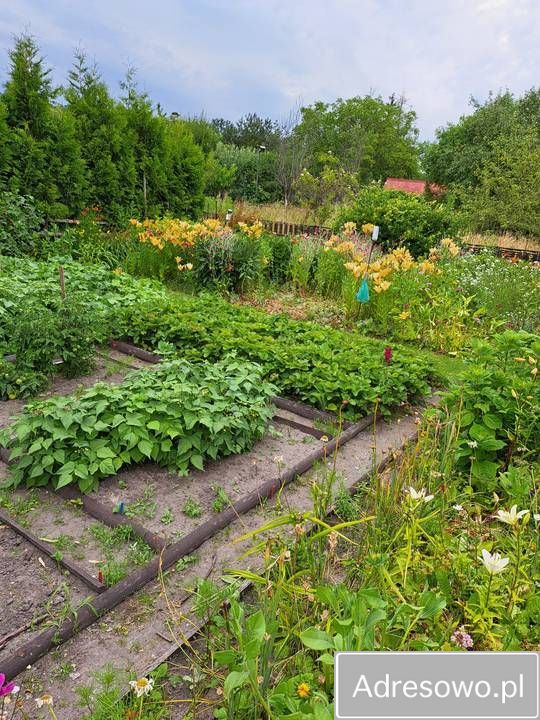 Działka rod Ostrów Wielkopolski, ul. Spichrzowa. Zdjęcie 2