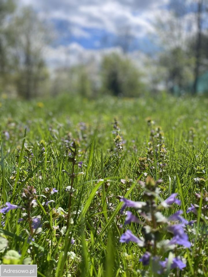 dom wolnostojący, 5 pokoi Giebułtów. Zdjęcie 10