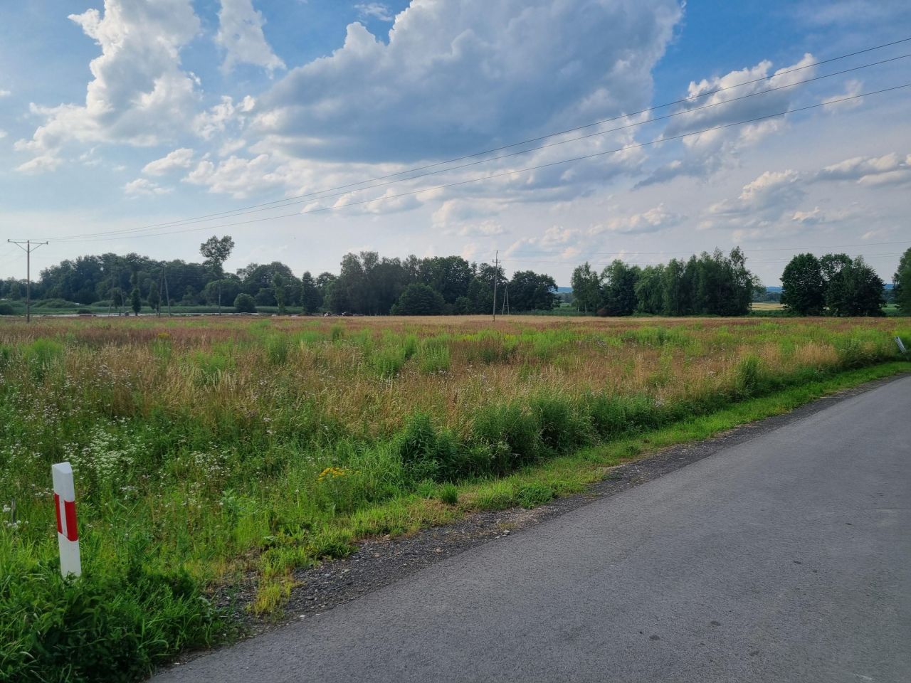 Działka rolno-budowlana Brzezinka Latonka, ul. Promowa. Zdjęcie 2