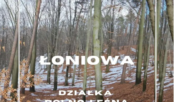 Działka rolna Łoniowa