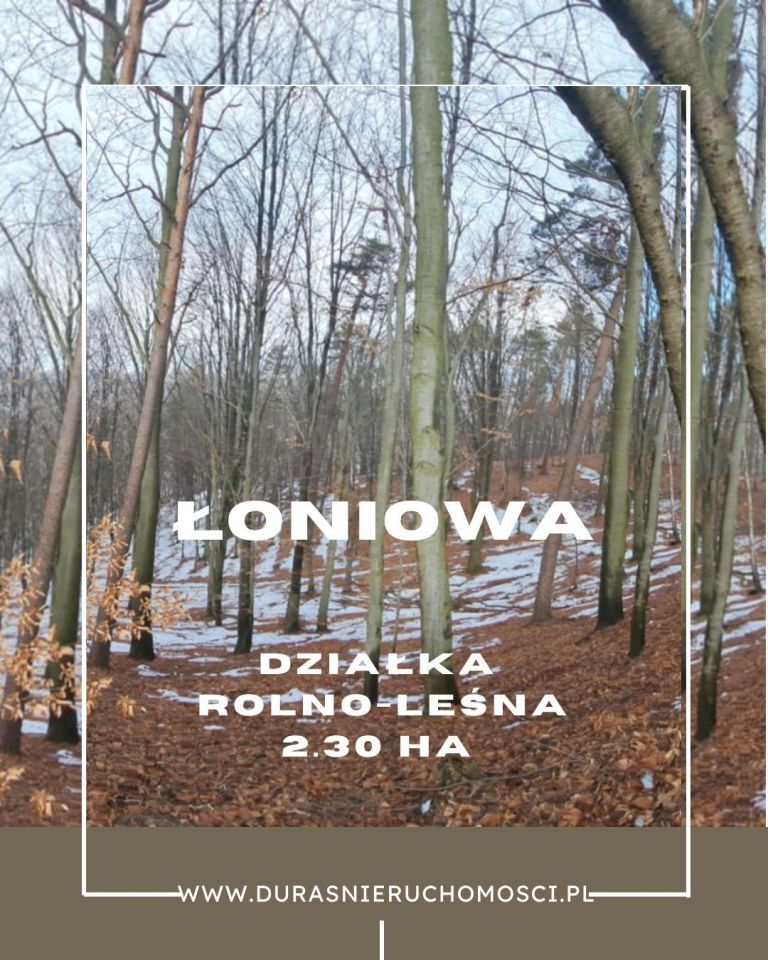 Działka rolna Łoniowa. Zdjęcie 1