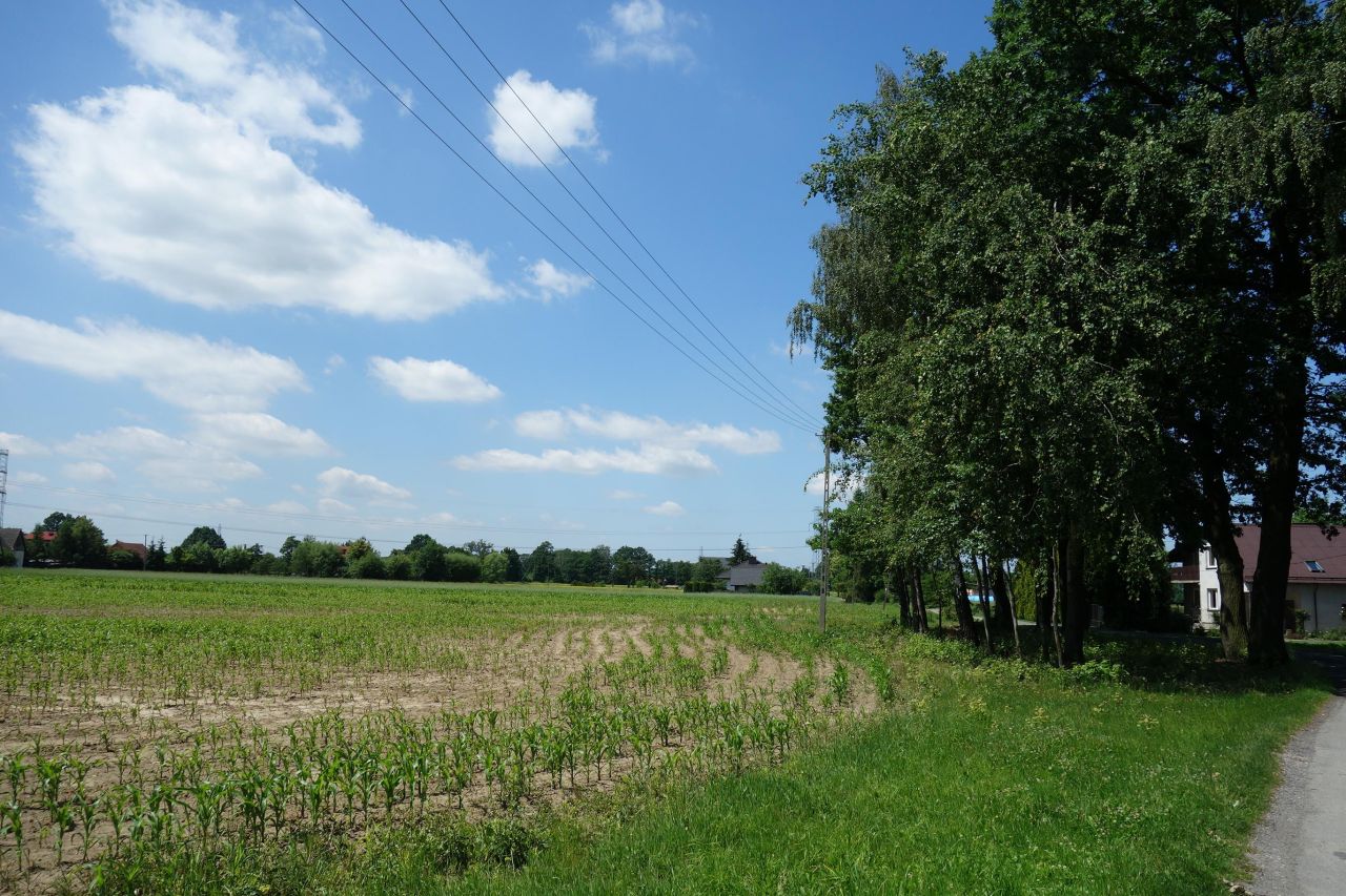 Działka budowlana Skoczów, koscielnik