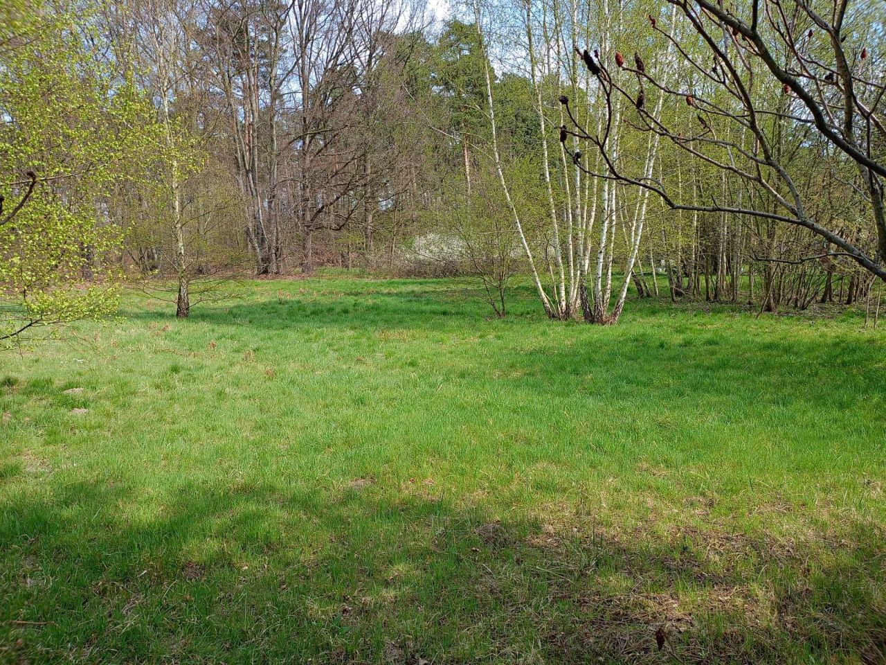 Działka budowlana Szymocice, ul. Gliwicka. Zdjęcie 3