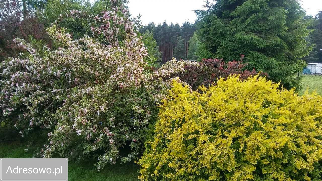 inny Chrzanów. Zdjęcie 4