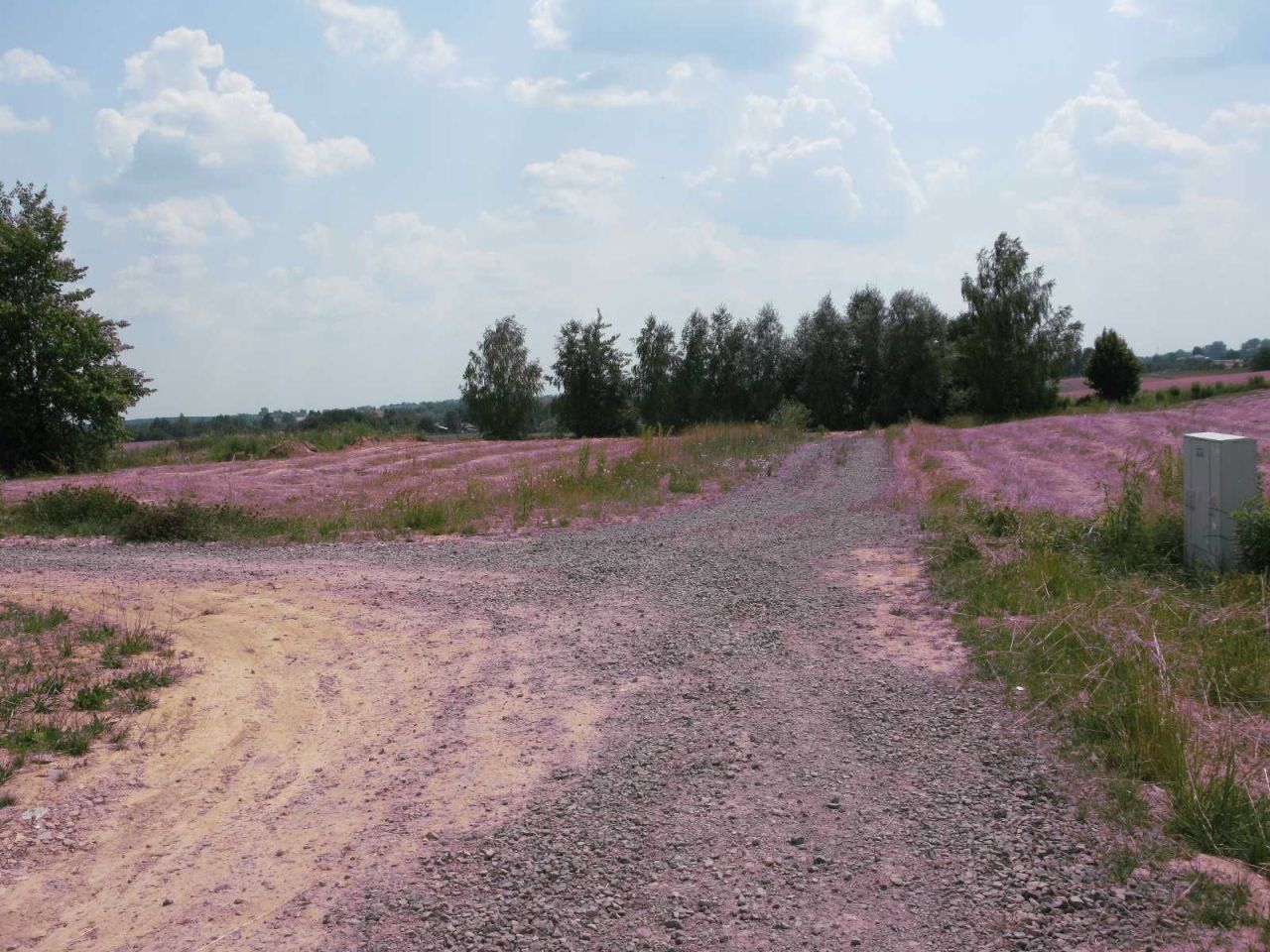 Hala/magazyn Jastków, ul. Radosna. Zdjęcie 3