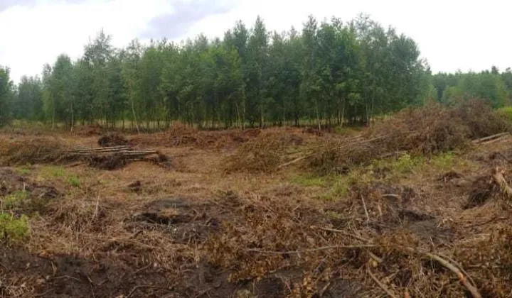 Działka rolno-budowlana Cyganka, ul. Przyjazna