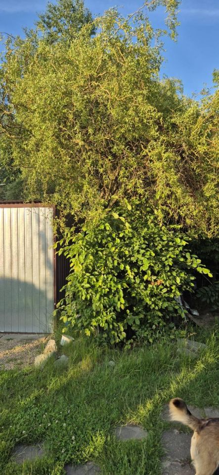 dom wolnostojący, 5 pokoi Sadów Kopce, ul. Powstańców Śląskich. Zdjęcie 66