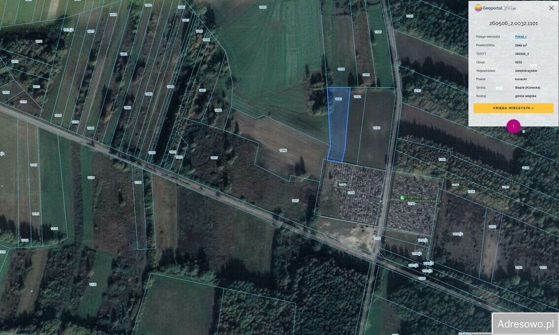 Działka rolna Pilczyca. Zdjęcie 3
