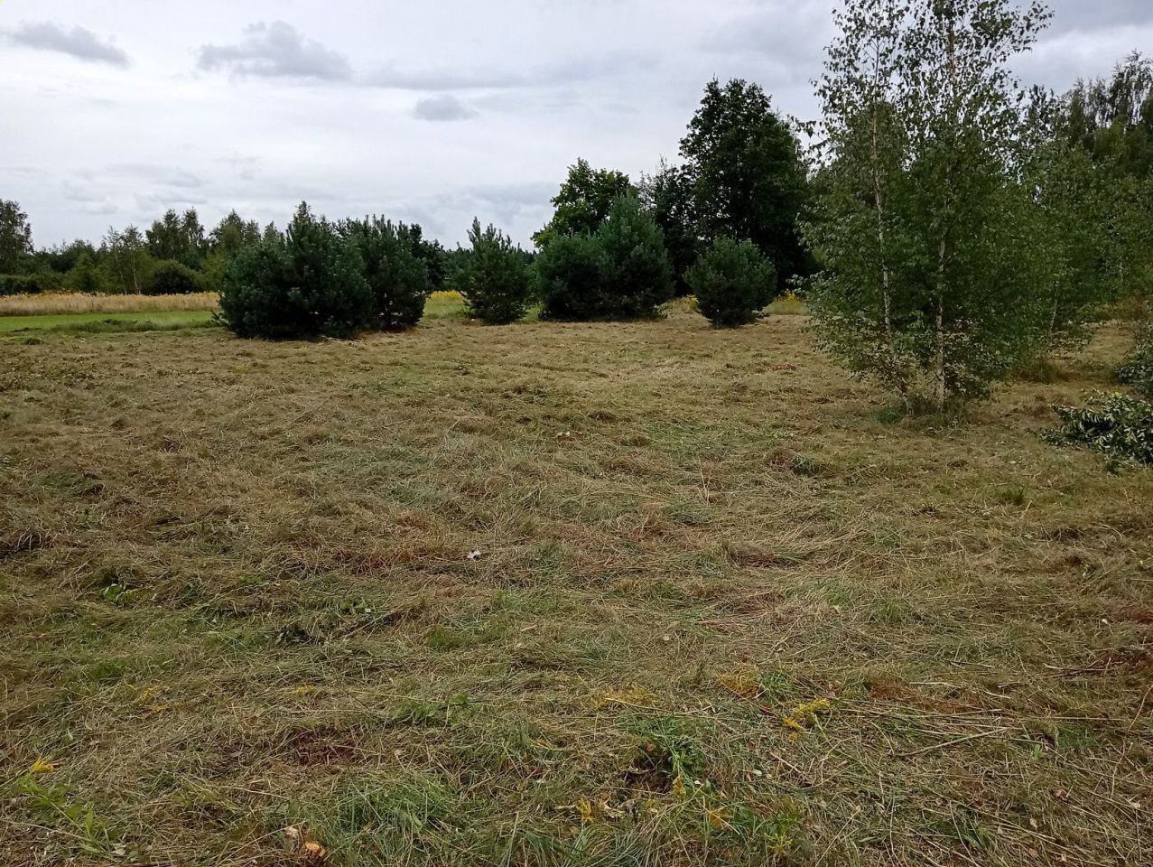 Działka budowlana Stare Krasnodęby. Zdjęcie 6