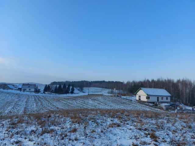 Działka rolno-budowlana Lubiewo. Zdjęcie 1