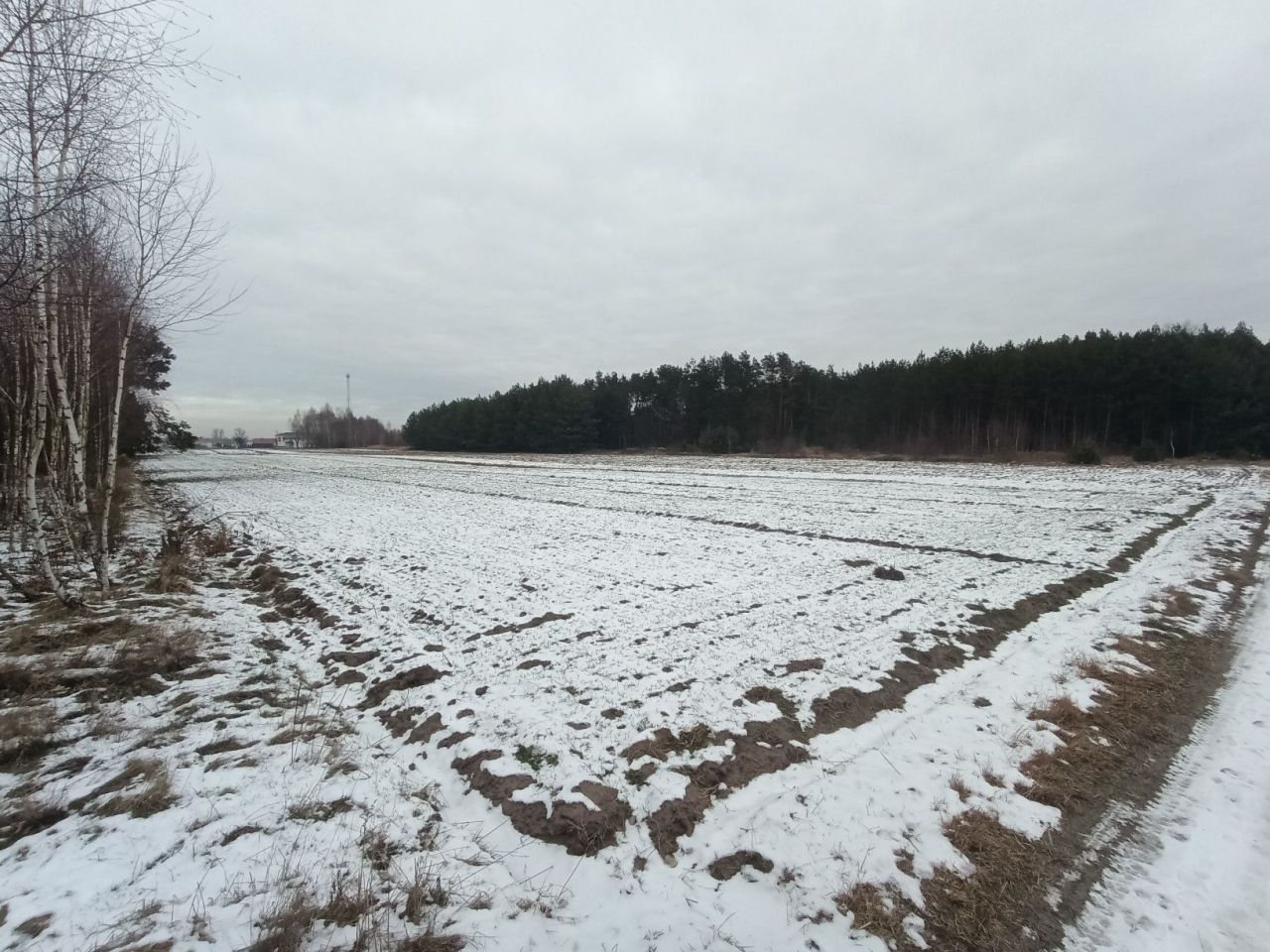 Działka rolna Poświętne. Zdjęcie 2