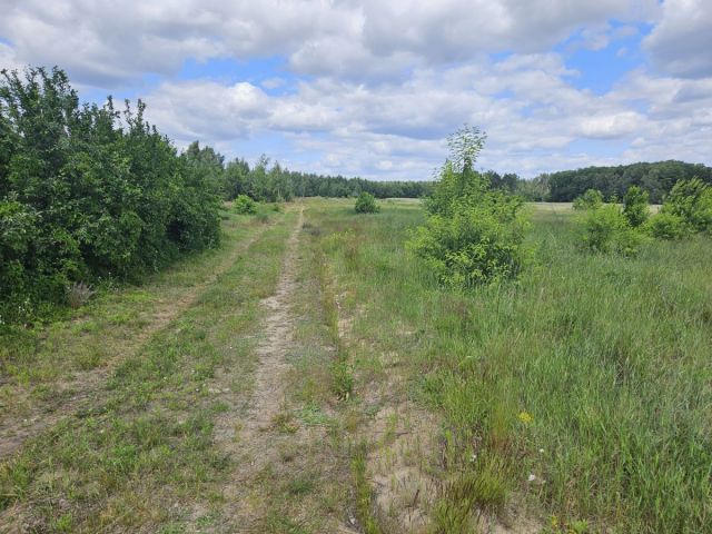 Działka budowlana Stare Wrońska. Zdjęcie 7