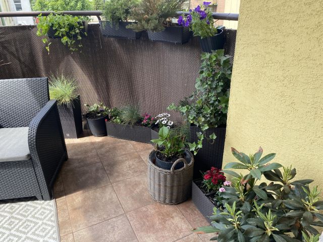 Mieszkanie 3-pokojowe Płock Stare Miasto, ul. Kolegialna. Zdjęcie 17