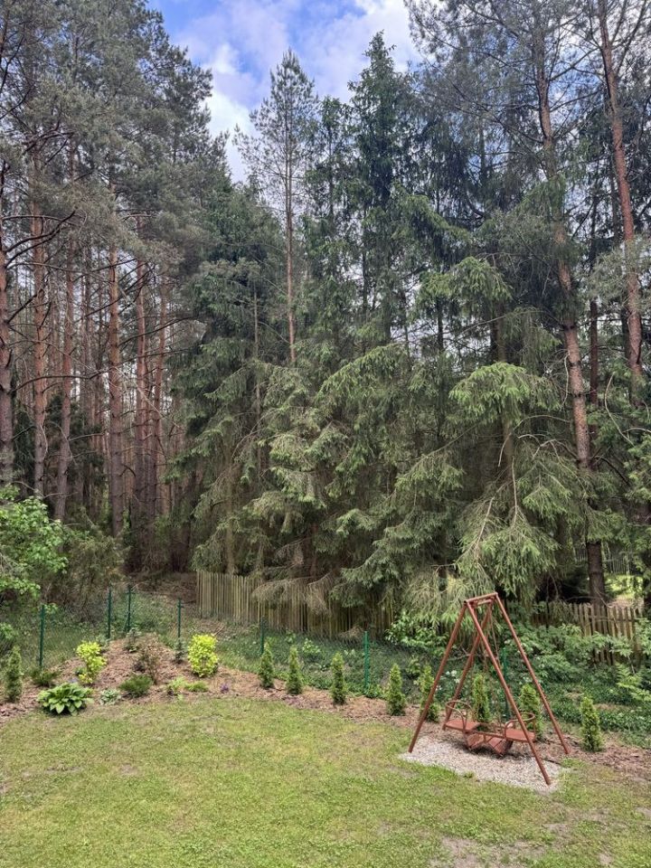 dom letniskowy Ptaki. Zdjęcie 8