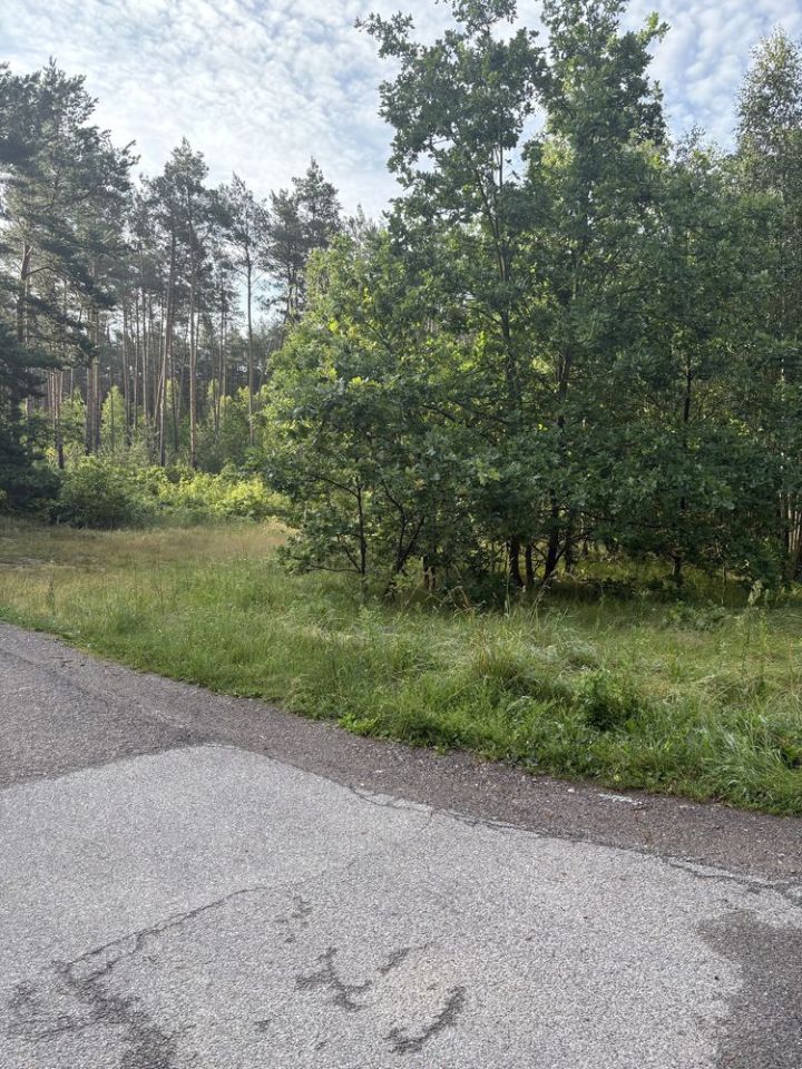 Działka budowlana Olszowe. Zdjęcie 7