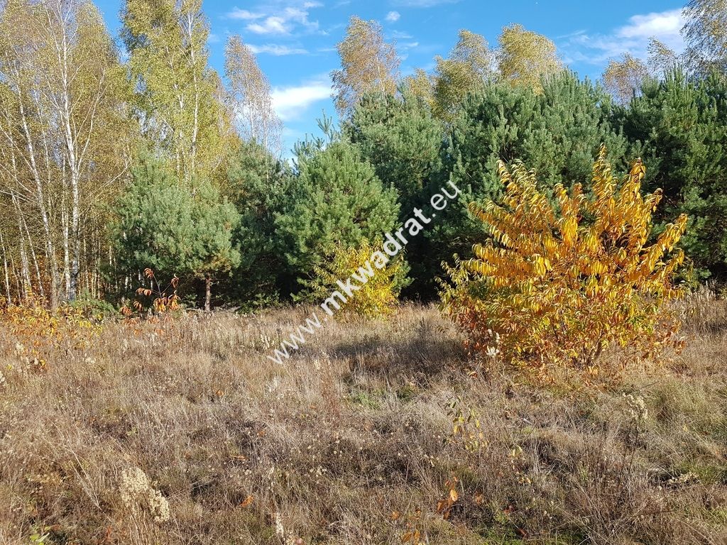 Działka budowlana Grabina Radziwiłłowska. Zdjęcie 2