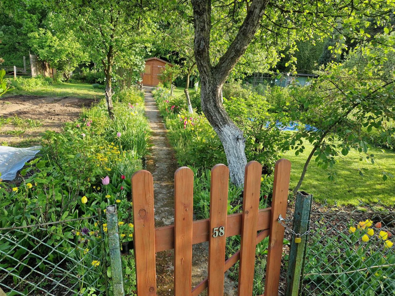 Działka rod Legnica Centrum, ul. Roberta Schumana. Zdjęcie 6