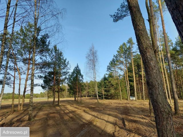Działka rekreacyjna Rogóźno. Zdjęcie 1