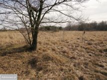 Działka rekreacyjna Pstrokonie. Zdjęcie 3