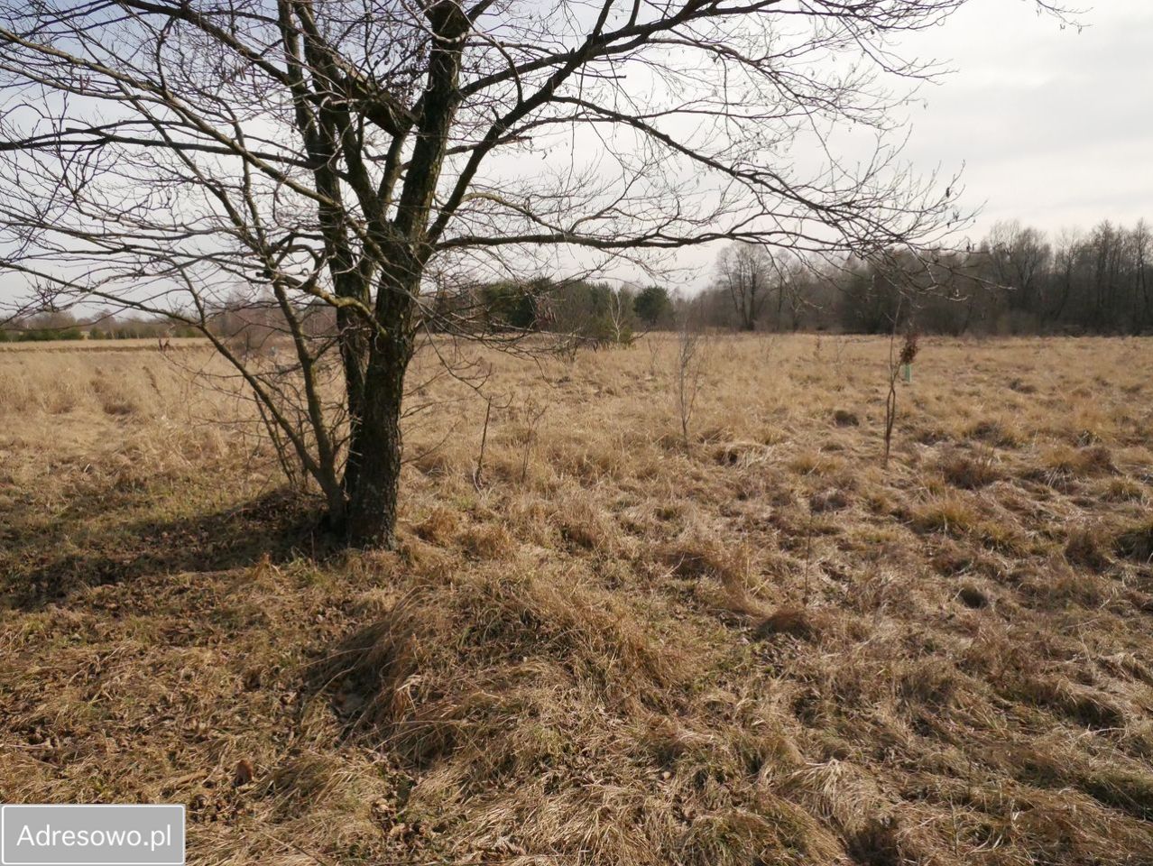 Działka rekreacyjna Pstrokonie. Zdjęcie 4