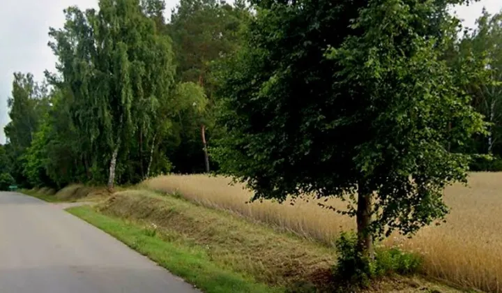 Działka budowlana Wieczfnia Kościelna