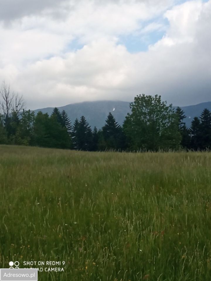 Działka rolno-budowlana Zawoja Błędna. Zdjęcie 8