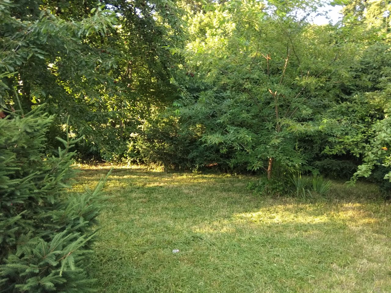 Działka rod Gliwice Śródmieście, ul. Feliksa Orlickiego. Zdjęcie 8