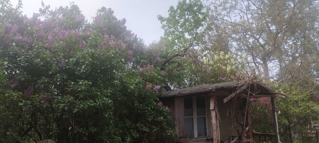 Działka rod Wrocław Śródmieście. Zdjęcie 2