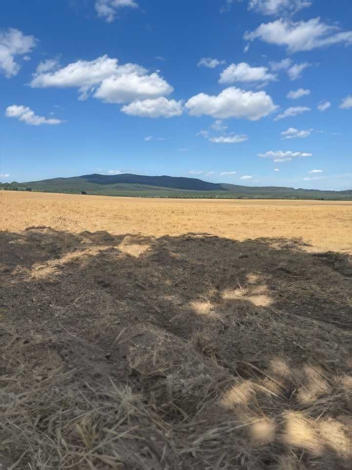 Działka rolno-budowlana Jaźwina. Zdjęcie 4