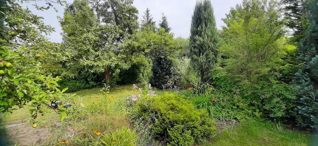 Działka rod Kielce Barwinek, ul. Wrzosowa. Zdjęcie 5