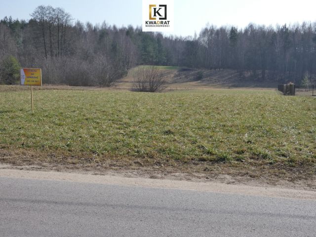 Działka Budy Wielgoleskie. Zdjęcie 1