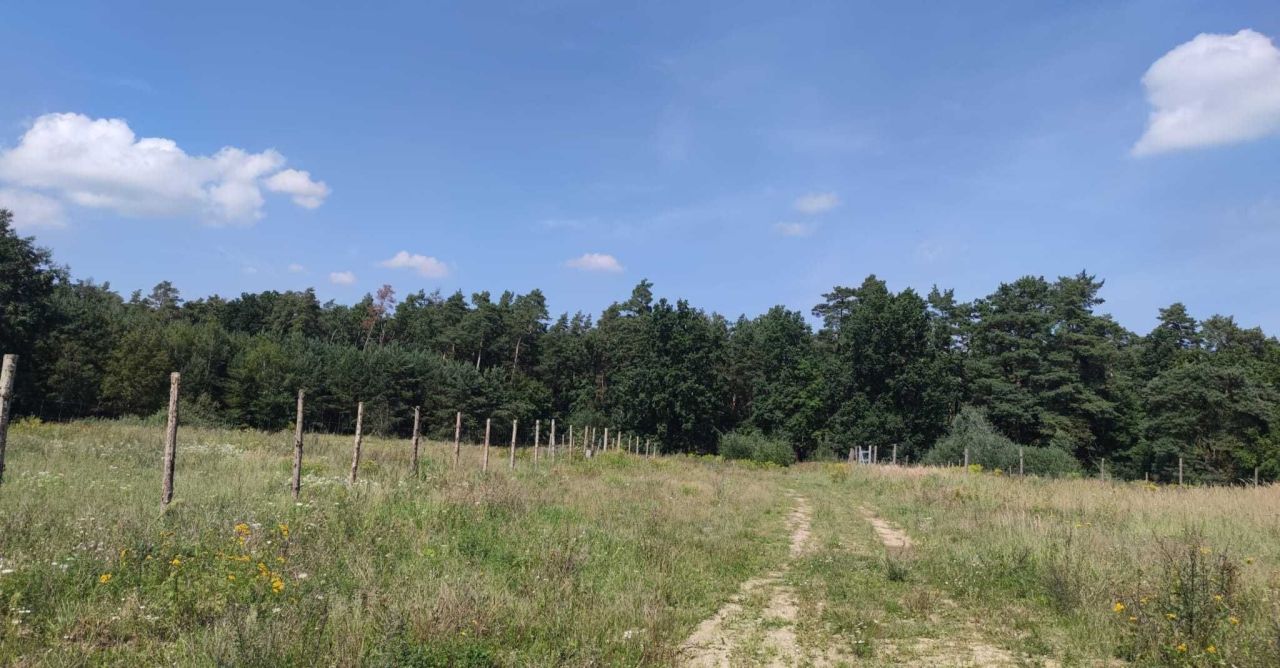 Działka budowlana Kościno, ul. Kormorana. Zdjęcie 5