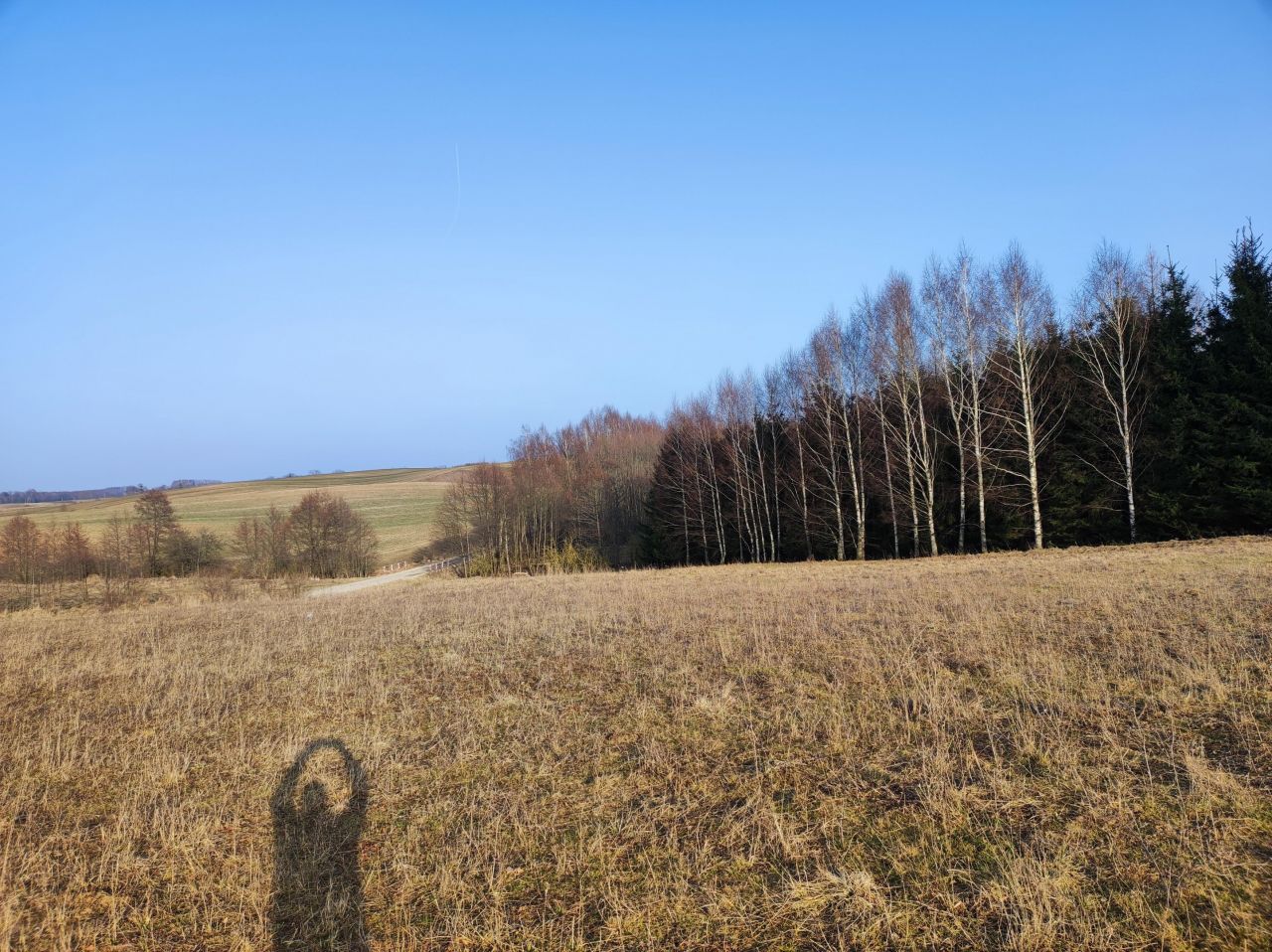 Działka rolno-budowlana Najdymowo. Zdjęcie 7