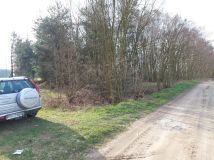 Działka budowlana Drzązna. Zdjęcie 3