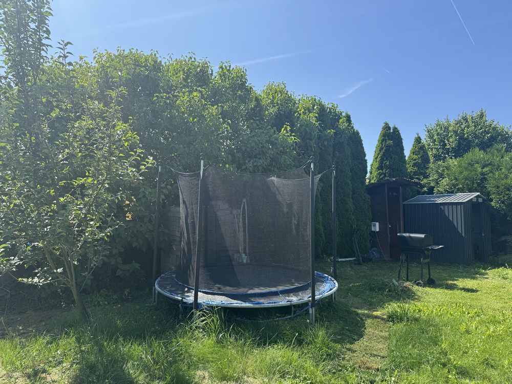 Działka rod Racibórz. Zdjęcie 8