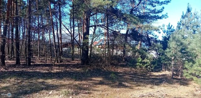 Działka budowlana Morawica, ul. Leszczynowa. Zdjęcie 4